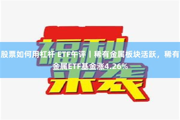 股票如何用杠杆 ETF午评丨稀有金属板块活跃，稀有金属ETF基金涨4.26%