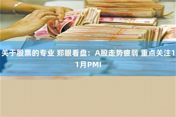 关于股票的专业 郑眼看盘：A股走势疲弱 重点关注11月PMI