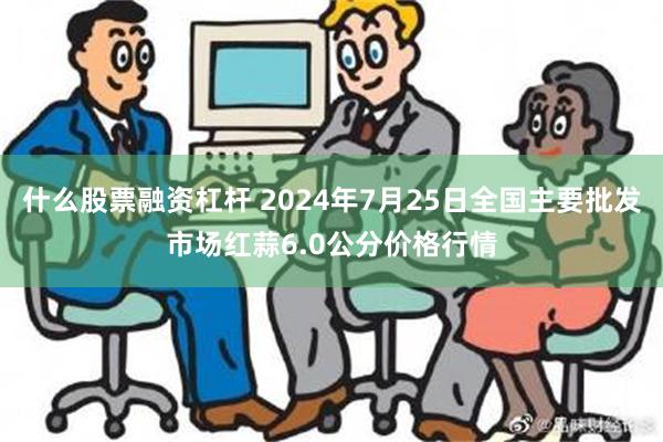 什么股票融资杠杆 2024年7月25日全国主要批发市场红蒜6.0公分价格行情