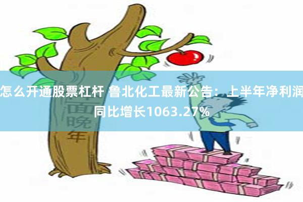 怎么开通股票杠杆 鲁北化工最新公告：上半年净利润同比增长1063.27%