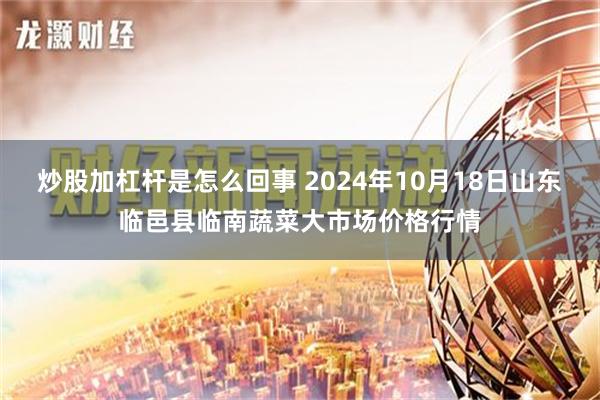 炒股加杠杆是怎么回事 2024年10月18日山东临邑县临南蔬菜大市场价格行情