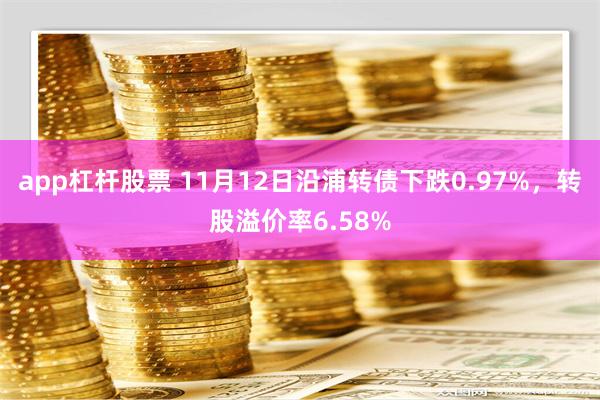 app杠杆股票 11月12日沿浦转债下跌0.97%，转股溢价率6.58%