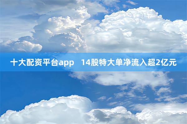 十大配资平台app   14股特大单净流入超2亿元