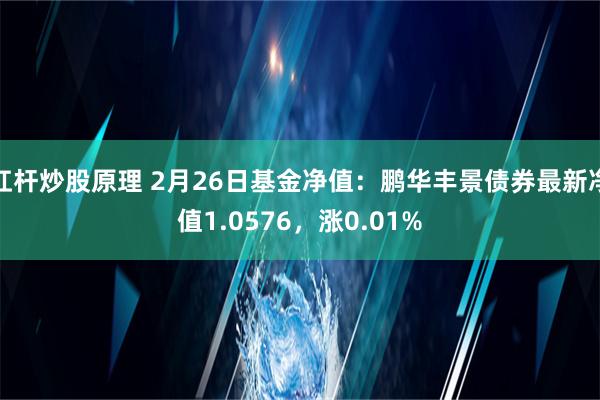 杠杆炒股原理 2月26日基金净值：鹏华丰景债券最新净值1.0576，涨0.01%